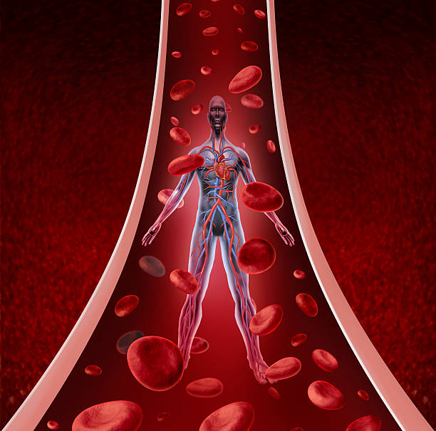 Blood Purifier