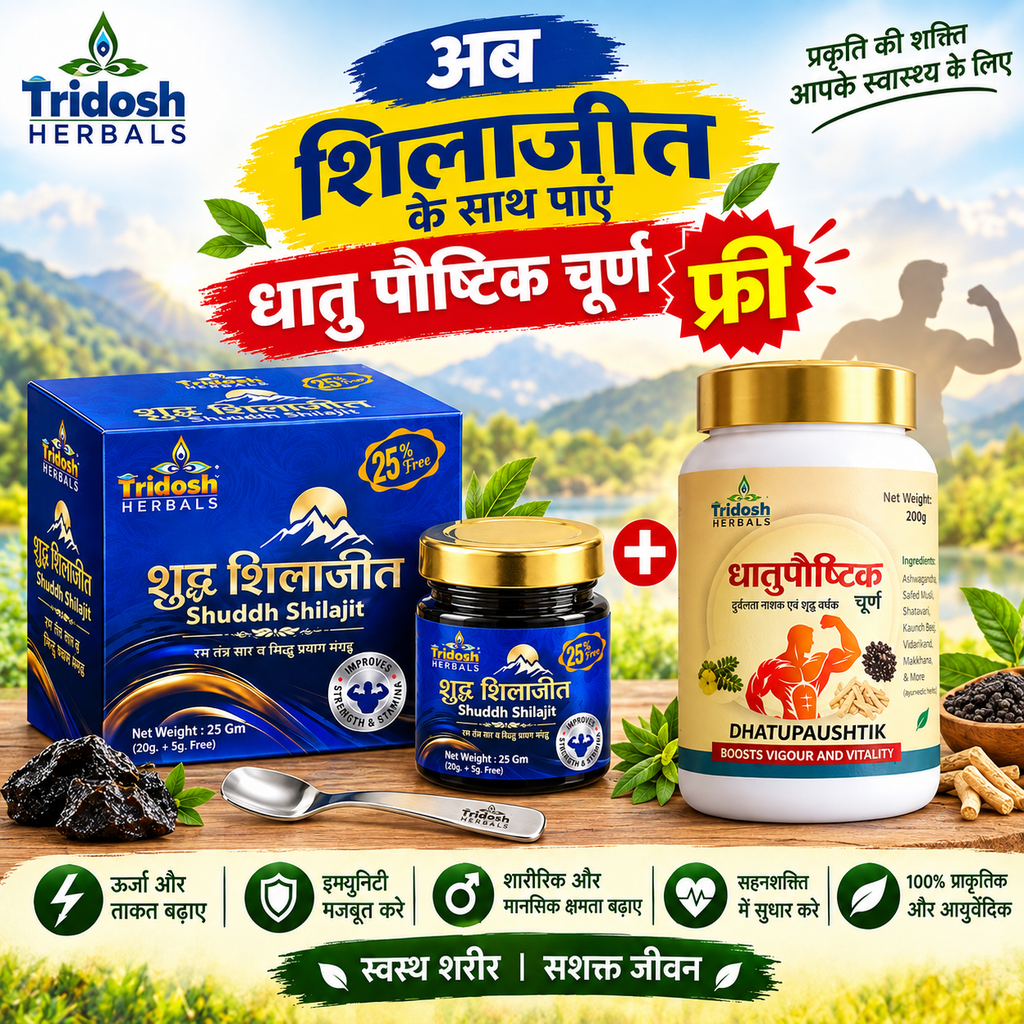 Tridosh Herbals Shuddh Shilajit + Dhatupaushtik Churna Combo | 25g Shilajit + Herbal Churna