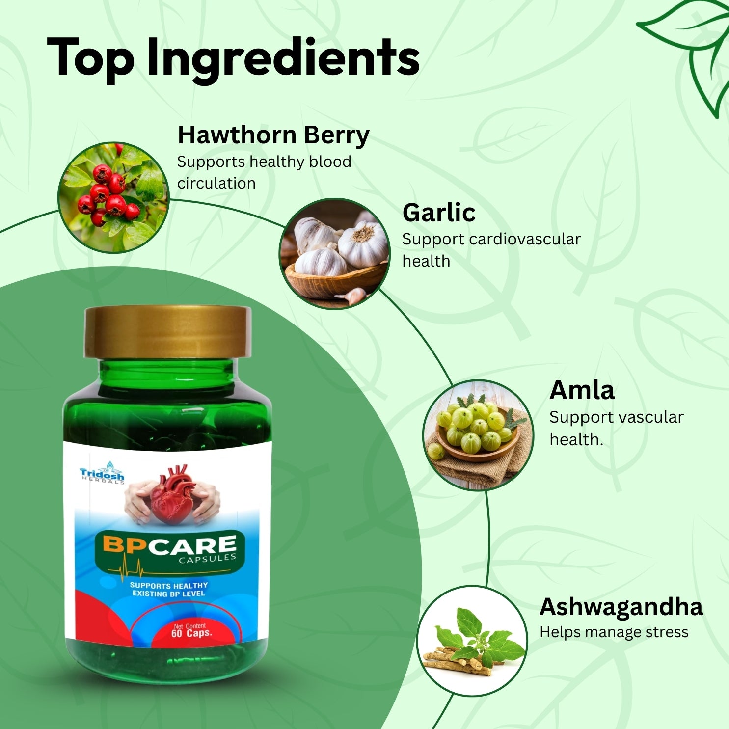BP Care Capsules