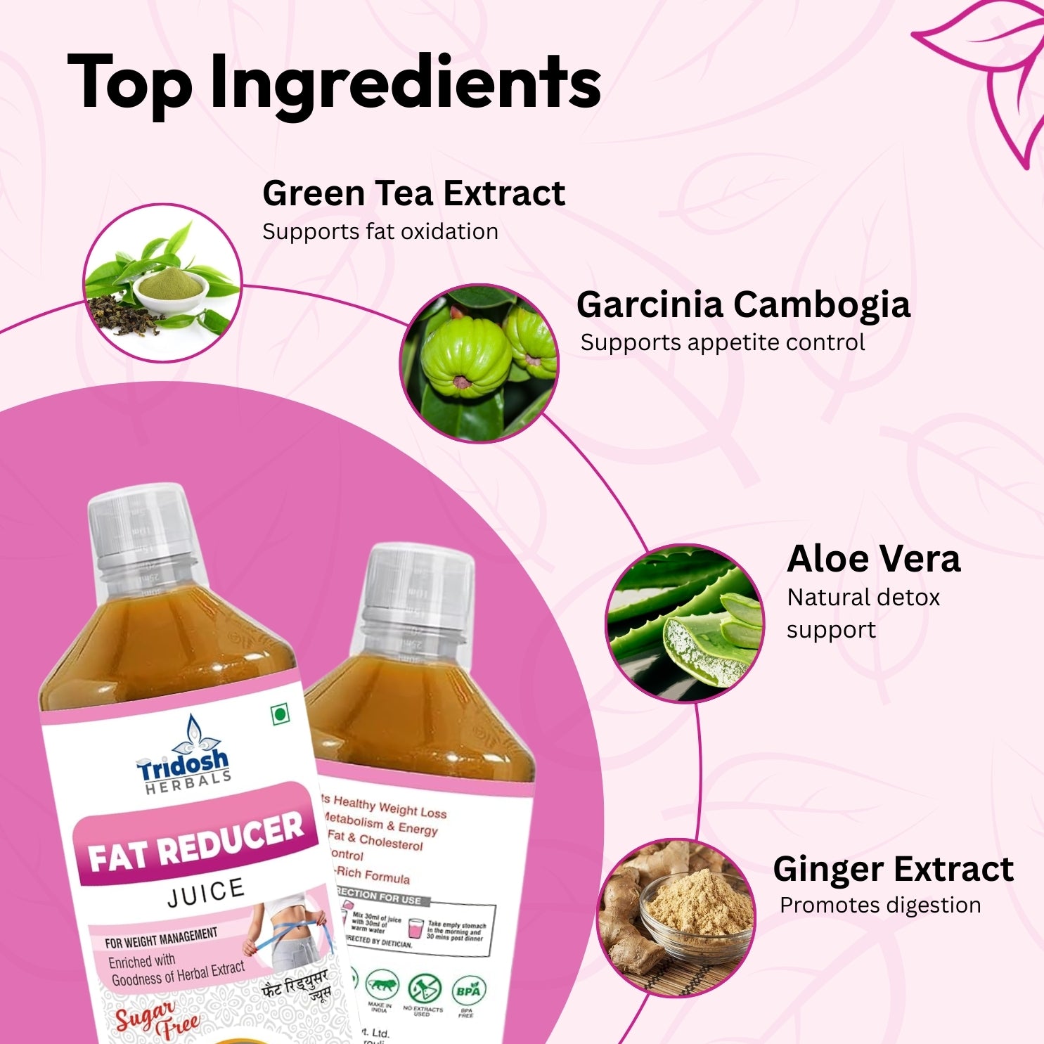 Fat Reducer Juice