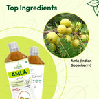 Amla Juice