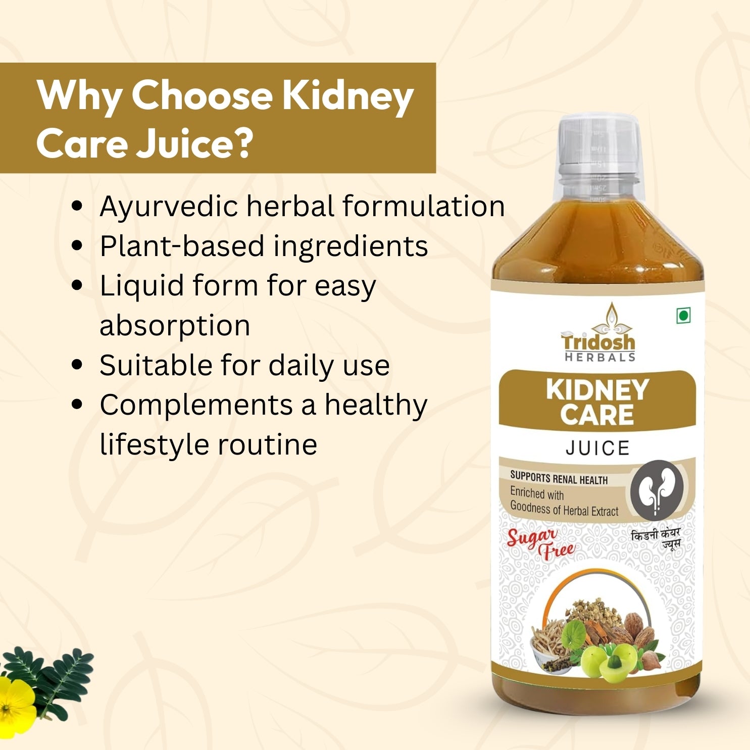 Kidney Care Juice