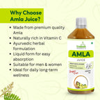 Amla Juice